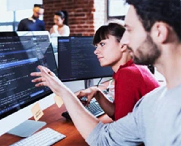 Software & Application Security Training Courses