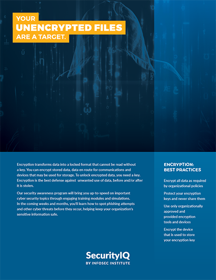 Don't Be a Target: Your Unencrypted Files