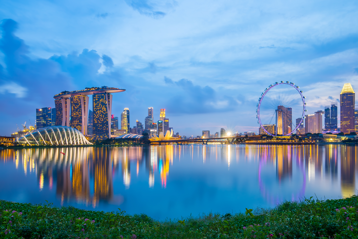 Blue Team Scenario Singapore