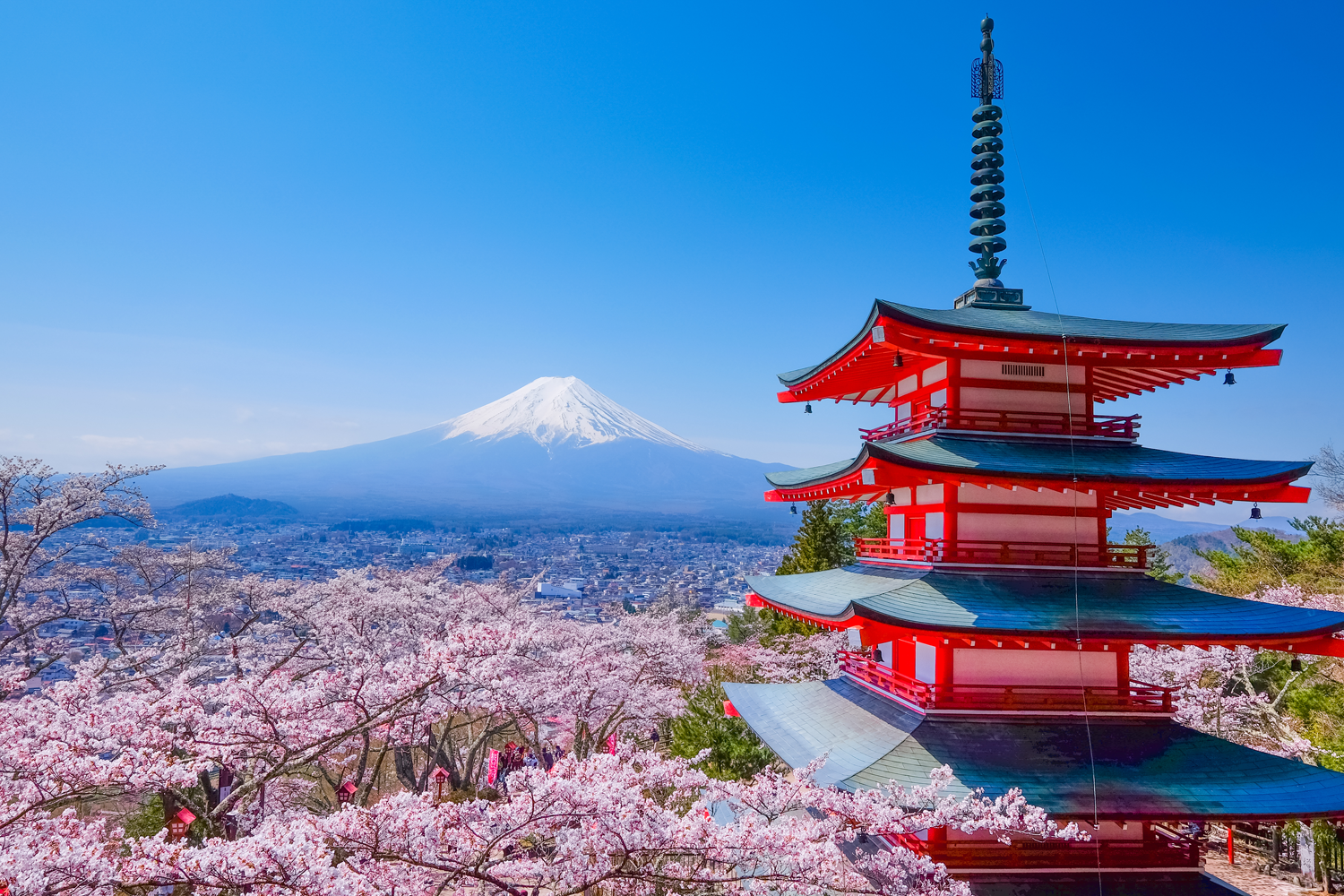 Blue Team Scenario Tokyo