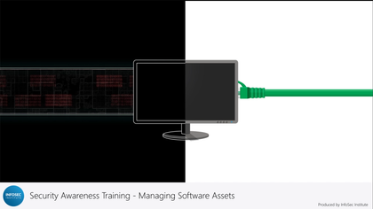 Managing Software Assets