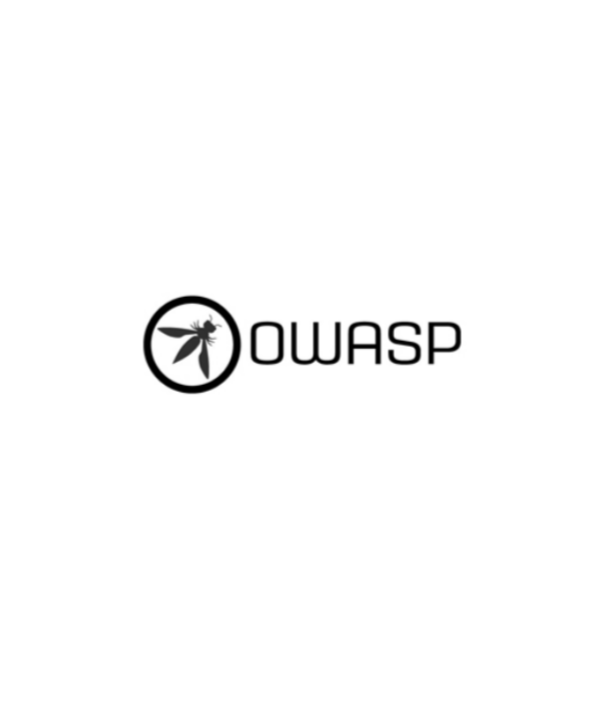 OWASP Top Ten Overview