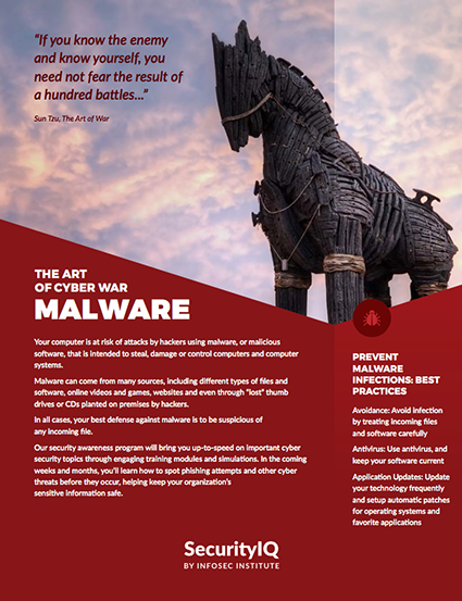 The Art of Cyber War: Malware
