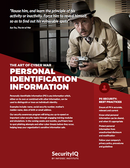 The Art of Cyber War: Personal Identification Information