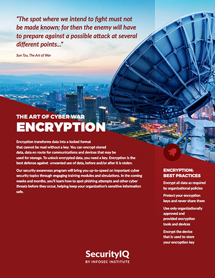 The Art of Cyber War: Encryption