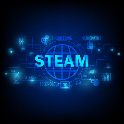 Cyber Security and STEAM Summer Camp